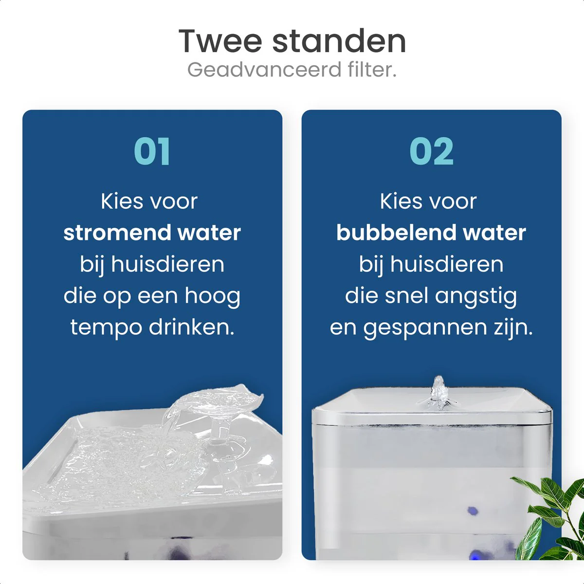 Productafbeelding 5