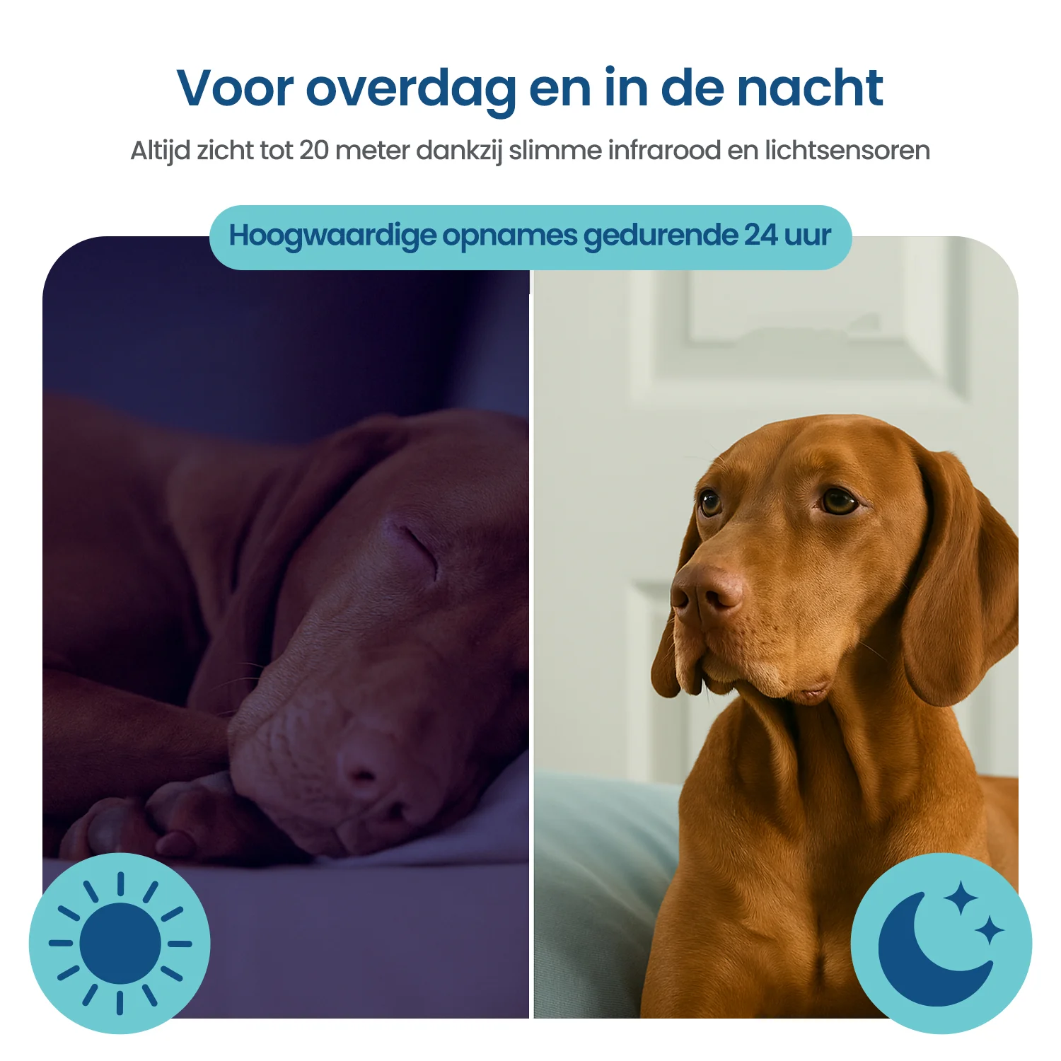 Productafbeelding 11
