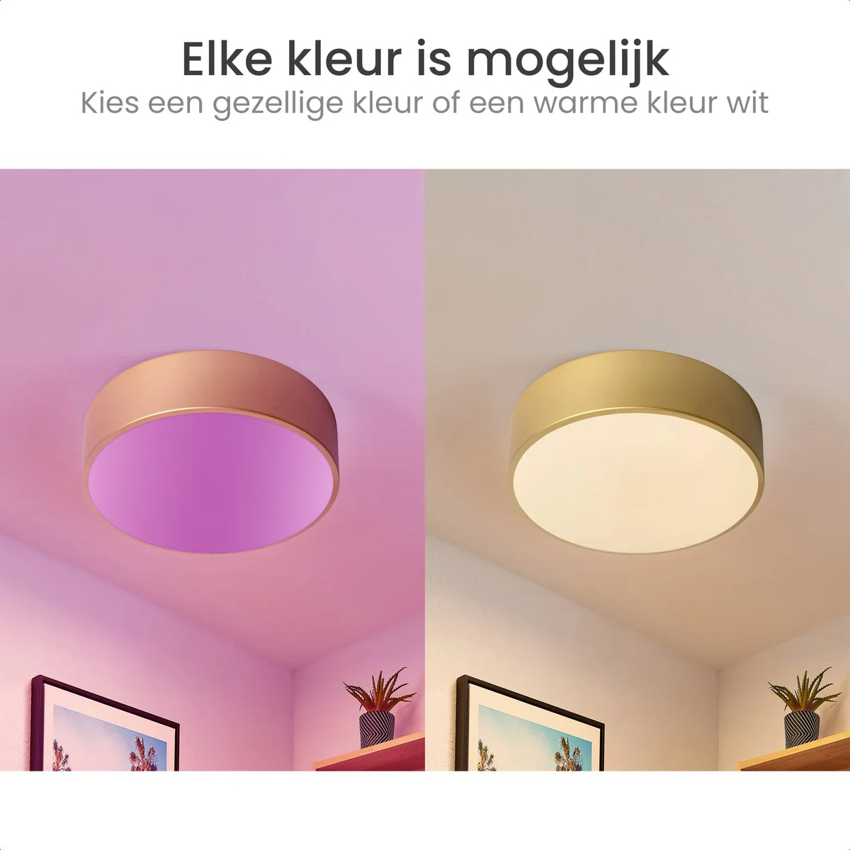 Productafbeelding 7
